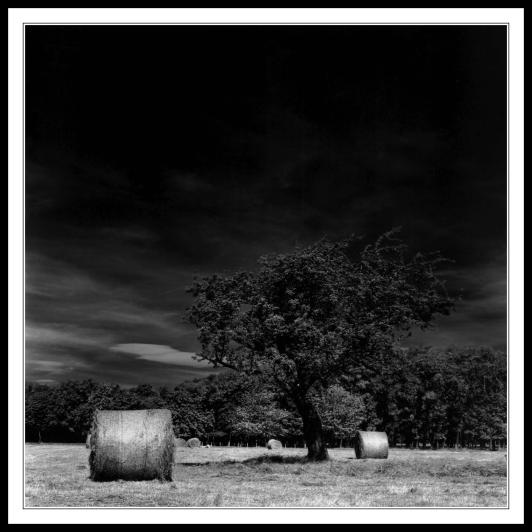 Haybales in Infra Red